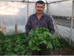 Çiftçiler Seralarında Sabaha Kadar 'Don' Nöbeti Tuttu