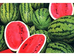 Ankaralı En Çok Karpuz Ve Domatesi Seviyor