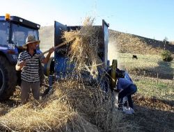 Havaların Serin Geçmesi Doğu İllerinde Çiftçileri Olumsuz Etkiledi