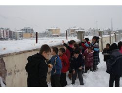 Aç Kalan Kuşlar İçin Yem Bıraktılar