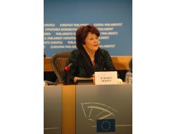 Ap Raportörü: Ak Parti Ve Chp’yi Tebrik Ediyorum, Pkk Provokasyon Yapıyor