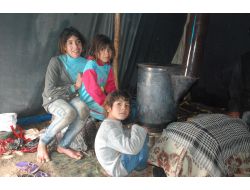 Suriyeliler Yaşam Mücadelesi Veriyor