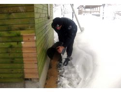 Hendek’te Kuşlara Yem Bırakıldı