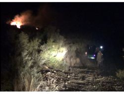 Kozan’da Bir Hektar Zeytinlik Ve Makilik Alan Yandı