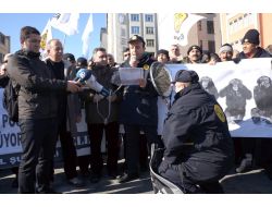 Postacılar, Ücretsiz Ulaşım İçin Yürüdü