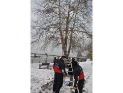 Alaplı'da Karga Kurtarma Operasyonu