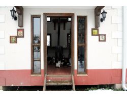 Kediler, Sıcak Villalarında Kar Manzarasını Tadını Çıkartıyor