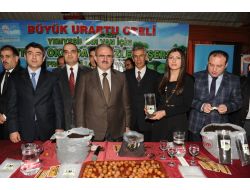 Vali Karaloğlu: Van'ı Ceviziyle Marka Haline Gelen Bir Şehre Dönüştürelim