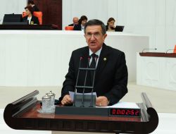 Mustafakemalpaşa’da Kümes Hayvanının Telef Olması Meclis Gündeminde