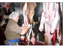 Ebk, Suluova'da Et Kesimine Başladı