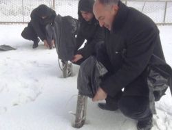 Tatvan'da Soğuktan Korumak İçin Fidanlar Torbaya Sokuluyor
