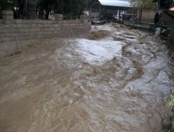 Samandağ'da Binlerce Dönüm Arazi Selden Zarar Gördü