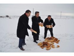 Yozgat Belediyesi, Sokak Ve Yaban Hayvanları İçin Doğaya Yiyecek Bıraktı