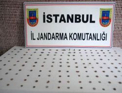 Tarihi Eserleri 10 Bin Dolara  Jandarmaya Satmak İsterken Yakalandılar