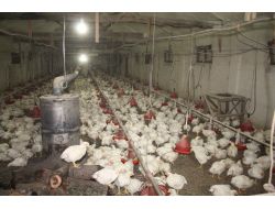 Hızla Eriyen Kar Suları Taşkın Ve Heyelana Sebep Oldu