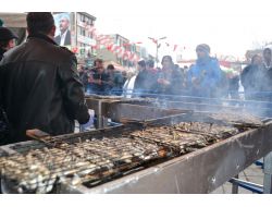 Festivalde 10 Ton Hamsi Dağıtıldı!