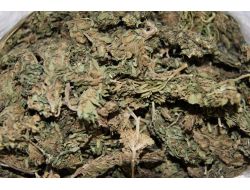 Sokak Satıcısında Esrar Ele Geçirildi!