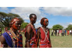 Maasai Kabilesi Gençleri, Bu Sefer Aslan Avlayamadan Savaşçı Oldu