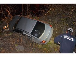 Otomobil, Evin Bahçesine Yuvarlandı