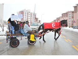 Başkan Gökçek'ten Atın Üzerine Türk Bayrağı Sarılmasına Tepki