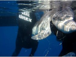 Marmaris Sahil Güvenlik Kaçaklara Geçit Vermedi