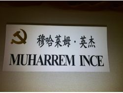 İnce, Çin Uzay Üssü’nde