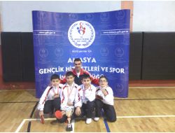 Şehzade Öğrencileri, Masa Tenisi Müsabakalarında İl 2.'si Oldu