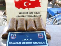 Gülnar'da Jandarma Kaçakçılara Geçit Vermiyor