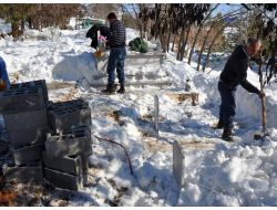 Tunceli’de Cansız’ın Cenazesi İçin Hazırlıkları Tamamlandı
