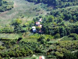 Orman Köylüsü Kredilerle Destekleniyor