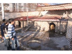 Türk Tarımın Geçmişi Bu Müzede Sergileniyor