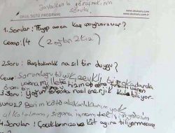 Hale, Cumhurbaşkanı İle De Görüşmek İstiyor!