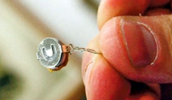 'Böcek Soruşturması'