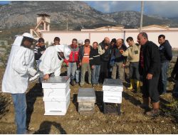 Cezaevinde Arı Yetiştirmeyi Öğreniyorlar