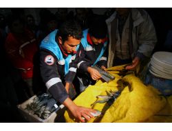 İstanbul'da Kaçak Balık Satıcılarına Baskın