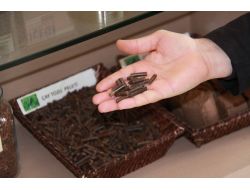 Enerji Bitkileri Atıklarından Kömüre Alternatif Katı Yakıt Ürettiler