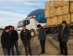 Saman İhtiyacı Çok, Alan Yok