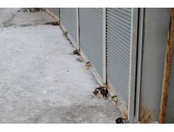 HAKKARİ'DE ESNAF KEPENK AÇMADI