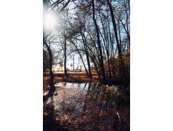 Fethiye'de Kartpostallık Kış Görüntüleri