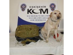 Esrar Narkotik Köpeğine Takıldı!