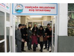 Bolu’da 190 Kuş Ve 20 Endemik Bitki Türü Tespit Edildi