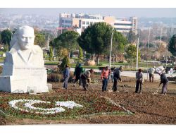 Denizli’ye 380 Bin Kış Çiçeği Dikildi