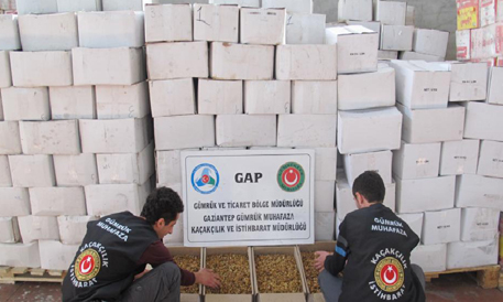 KAÇAK CEVİZ İÇİ OPERASYONU