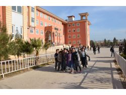 Ceylanpınar'da Okullar Açıldı, Ancak Öğrenciler Derse Gelmedi