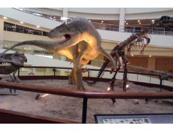 Mamaklı Öğrenciler Tabiat Tarihi Müzesi’ni Gezdi