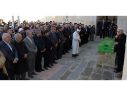 Ak Parti'li Akman’ın Kazada Ölen Yeğeni Toprağa Verildi