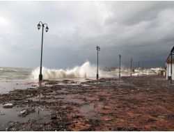 Lodosla Gelen Meyveleri Vatandaşlar Topladı