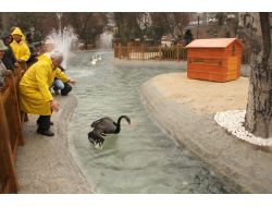 KUĞULUPARK KUĞULARINA KAVUŞTU