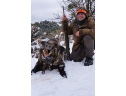 Alman Avcılar, Başkent'te Yaban Domuzu Avına Çıktı