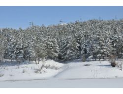 Çamlık Milli Parkı'nda Kar İle Gelen Güzel Manzaralar